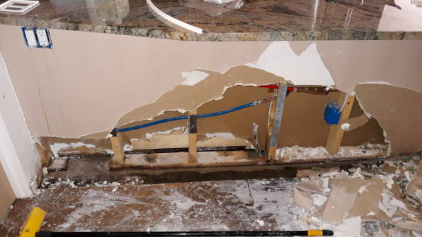 Best Water damage contractors near me  in Middleburg, FL