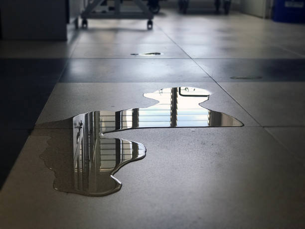 Best Professional water damage repair  in Middleburg, FL