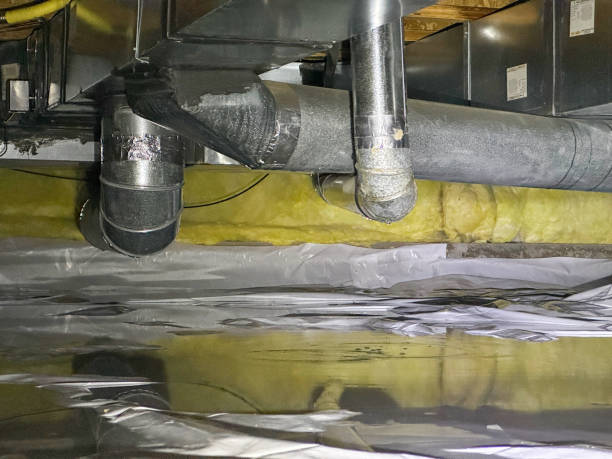 Best Ceiling water damage repair  in Middleburg, FL