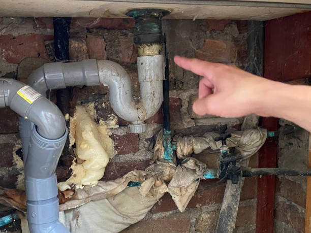 Best Fire Damage Restoration  in Middleburg, FL