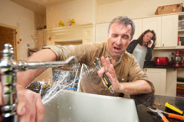 Best Carpet water damage restoration  in Middleburg, FL